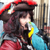 Pirates and Parrots will be at Sheffield Arena for YCC2018