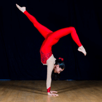 Greentop Circus